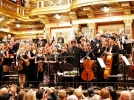 Юные музыканты могут попасть в симфонический оркестр Юрия Башмета - 2022-05-15 09:00:00 - 4