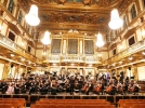 Юные музыканты могут попасть в симфонический оркестр Юрия Башмета - 2022-05-15 09:00:00 - 3