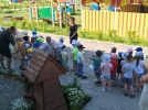Полицейские Великих Лук организовали для детей музыкальный праздник - 2022-07-04 10:35:00 - 3