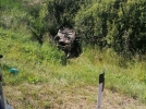 Три человека пострадали в аварии в Куньинском районе - 2022-08-05 10:43:03 - 8