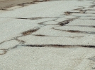 На ужасное состояние дороги из Великих Лук до Локни жалуются водители региона - 2023-03-23 14:15:00 - 8