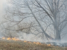 Пожарные тушат пламя, охватившее поле в районе Дружбы - 2023-04-13 18:33:00 - 8