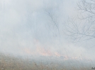 Пожарные тушат пламя, охватившее поле в районе Дружбы - 2023-04-13 18:33:00 - 9