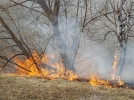 Пожарные тушат пламя, охватившее поле в районе Дружбы - 2023-04-13 18:33:00 - 6
