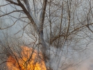 Пожарные тушат пламя, охватившее поле в районе Дружбы - 2023-04-13 18:33:00 - 5