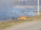 Пожарные тушат пламя, охватившее поле в районе Дружбы - 2023-04-13 18:33:00 - 3