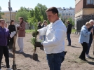 Более 300 деревьев высадили студенты ПсковГУ в рамках акции «Сад памяти» - 2023-06-04 18:05:00 - 5