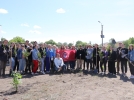 Более 300 деревьев высадили студенты ПсковГУ в рамках акции «Сад памяти» - 2023-06-04 18:05:00 - 3
