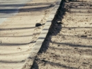 Улицы Великих Лук снова утонули в песке - 2024-03-13 15:50:00 - 4