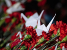 Великие Луки почтили память жертв теракта в «Крокусе» - 2024-03-27 11:05:00 - 10