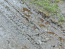 Великолучане жалуются на грязь у железнодорожного моста - 2024-04-23 16:05:00 - 3