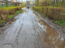 Великолучане жалуются на грязь у железнодорожного моста - 2024-04-23 16:05:00 - 7