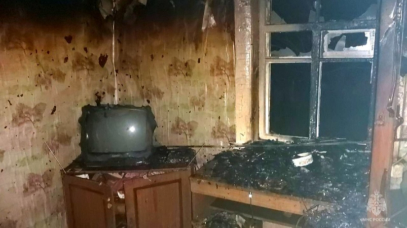 Два человека погибли на пожарах в Псковской области - 2023-11-13 14:35:00 - 2
