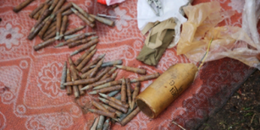 Полицейские изъяли у псковича целую коллекцию боеприпасов времен войны - 2021-04-08 10:46:00 - 2