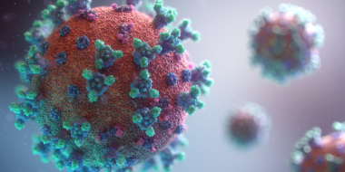 В Великолукской межрайонной больнице выявили очаг коронавируса - 2021-04-09 09:39:16 - 2