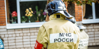 В Невельском районе нашли гранату, а в Великолукском - мину - 2021-07-22 14:35:00 - 2