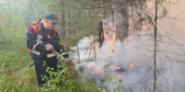 Пожарные тушат леса в Карелии - 2021-07-25 15:00:00 - 2