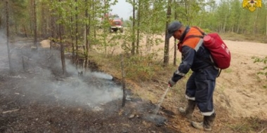 Увеличено количество пожарных на тушении лесов в Якутии - 2021-07-24 15:00:00 - 2