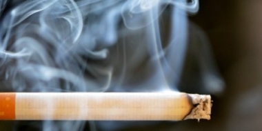На псковской таможне нашли более 1200 пачек спрятанных сигарет - 2021-10-19 13:05:00 - 2