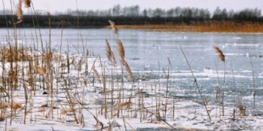 В Псковской области планируется ввести запрет выхода на лёд - 2021-12-03 16:35:00 - 2