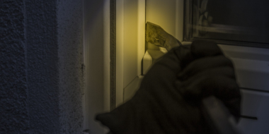Житель Пушкинских Гор подозревается в совершении серии краж - 2024-04-14 15:05:00 - 2