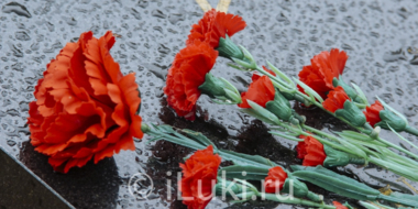 В Псковской области почтили память ликвидаторов аварии на Чернобыльской АЭС - 2024-04-26 16:35:00 - 2