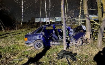 Опубликованы фото аварии в Великих Луках, в которой погибла пассажирка - 2021-11-24 12:43:00 - 3