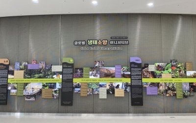 Животных Приморья показали на фотовыставке в Южной Корее - 2021-12-04 20:00:00 - 6