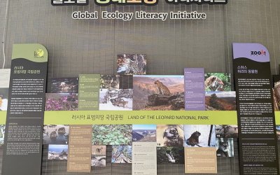 Животных Приморья показали на фотовыставке в Южной Корее - 2021-12-04 20:00:00 - 5